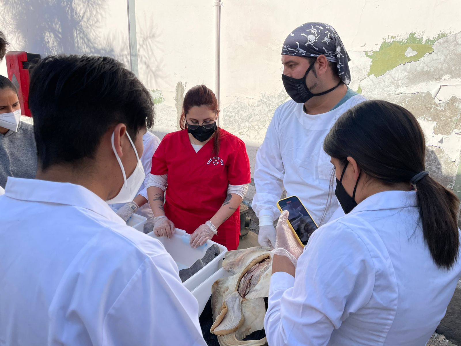 El Dr. Carlos Bustamante dirigirá el proyecto.