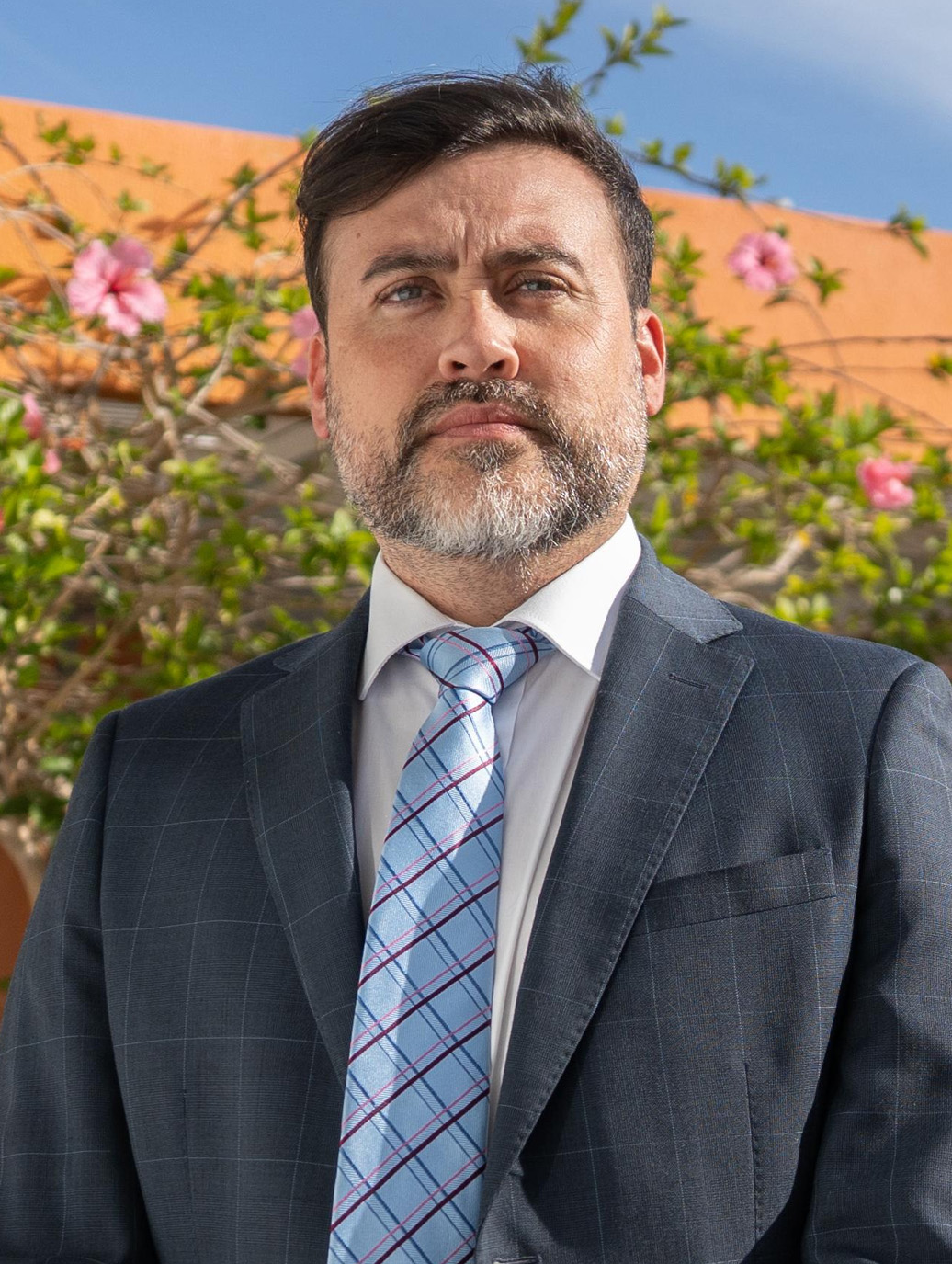 Área Derecho Privado y Procesal Civil